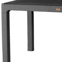 Masă de grădină Heniver Rattan Table Dreptunghiular / Gray Gray photo 3