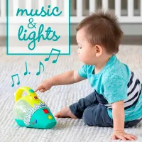 Игрушка Infantino Animals Light-Up Mini-Vac 307015 0.5+ / Синий photo 3