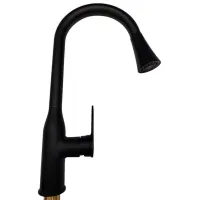 Baterie pentru bucătărie Backer EVF13 Mono comandă / extractibilă / Alamă / Black