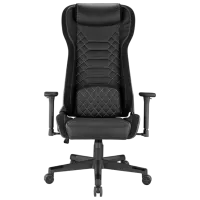 Scaun Gaming LUMI CH09-2 Black photo 2