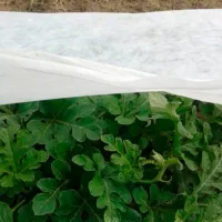 Folie microporoasă agril Agreen 77521 White photo 5