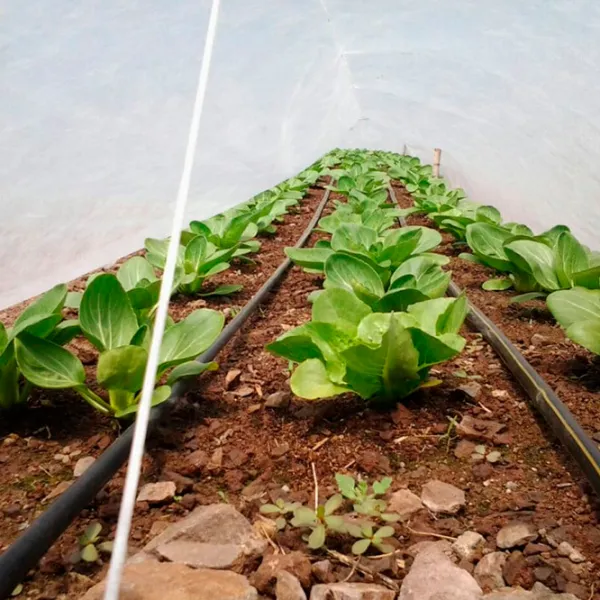 Агроволокно Agreen 77530 Белый photo 3