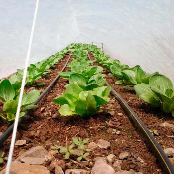 Агроволокно Agreen 77522 Белый photo 3
