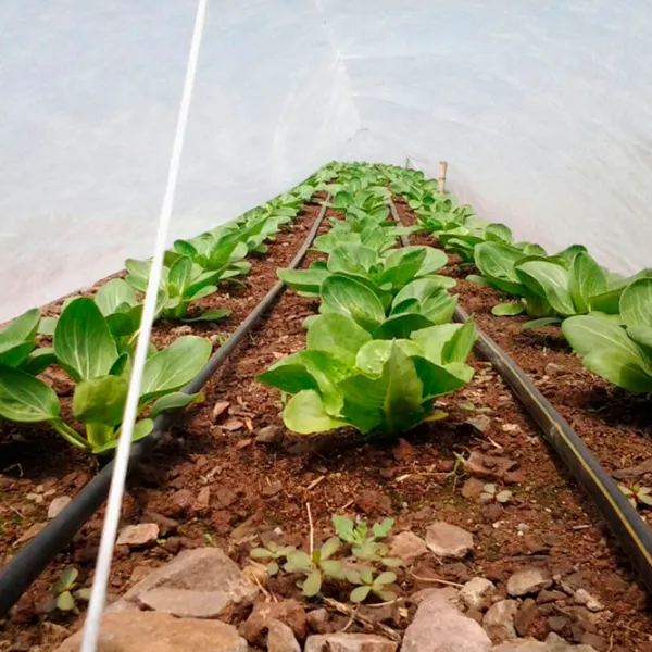 Агроволокно Agreen 77519 Белый photo 3
