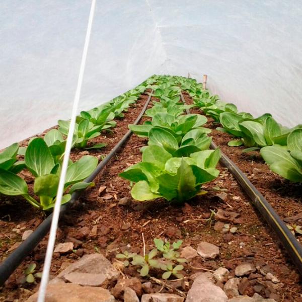 Агроволокно Agreen 77519 Белый photo 3