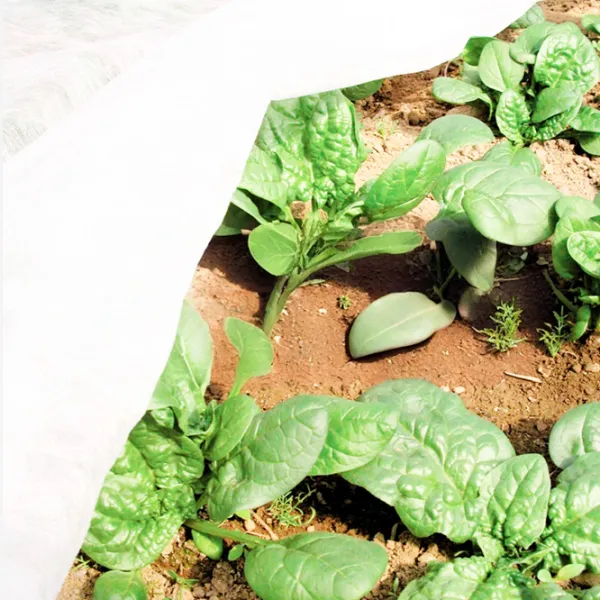 Агроволокно Agreen 77519 Белый photo 6