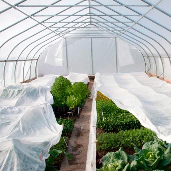 Агроволокно Agreen 77519 Белый photo 7