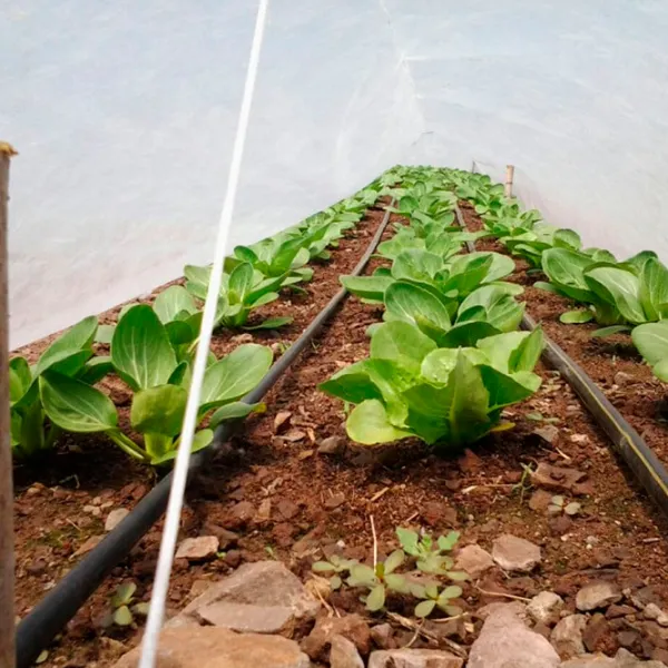 Агроволокно Agreen 77601 Белый photo 2