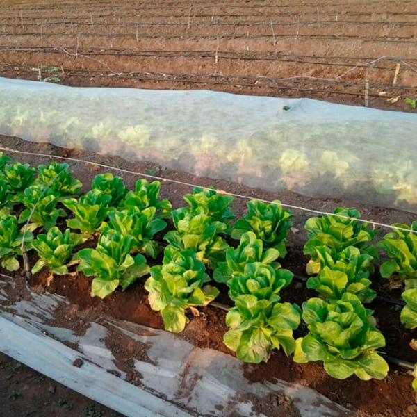 Агроволокно Agreen 77601 Белый photo 3