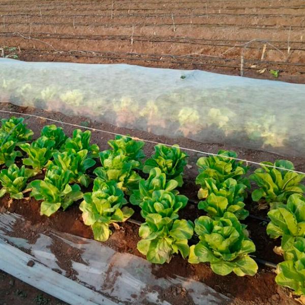 Агроволокно Agreen 77517 Белый photo 5