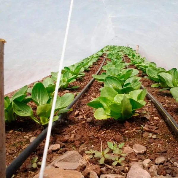Агроволокно Agreen 77503 Белый photo 3