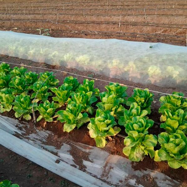Агроволокно Agreen 77503 Белый photo 4