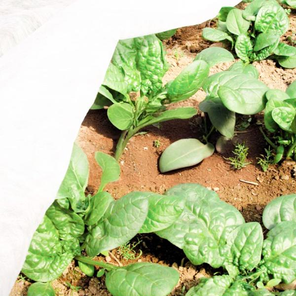 Folie microporoasă agril Agreen 77510 White photo 6