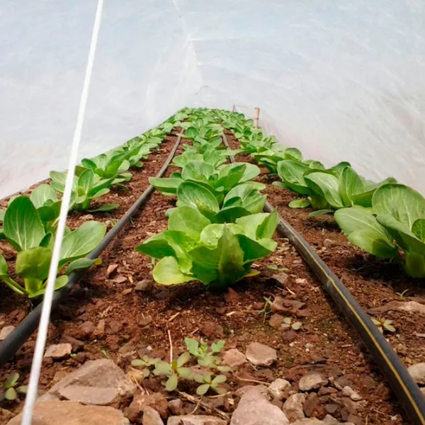 Агроволокно Agreen 77509 Белый photo 3