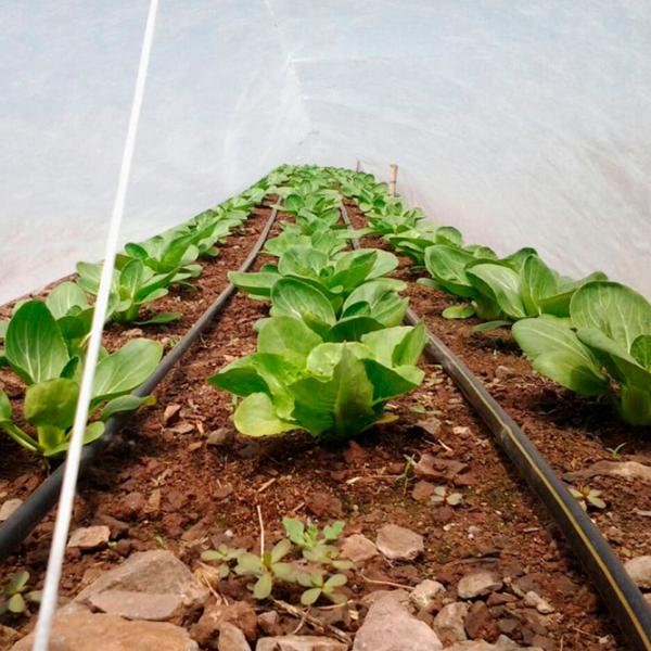 Агроволокно Agreen 77509 Белый photo 3