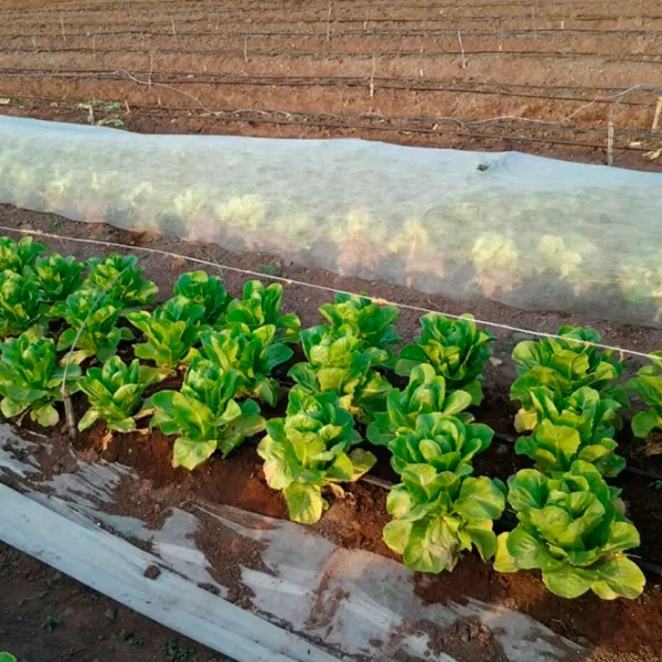 Агроволокно Agreen 77509 Белый photo 5