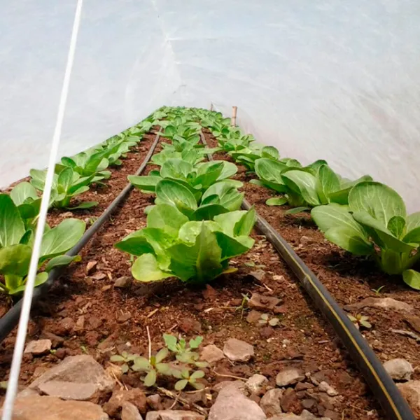 Агроволокно Agreen 77516 Белый photo 3
