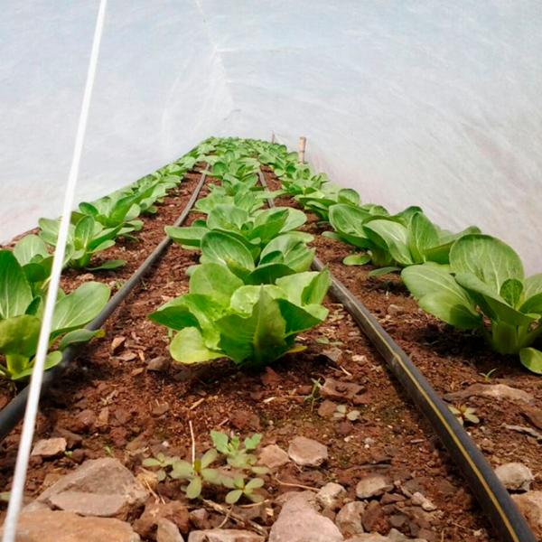 Агроволокно Agreen 77516 Белый photo 3