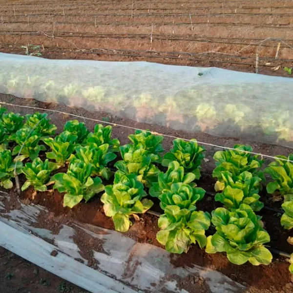 Агроволокно Agreen 77516 Белый photo 4