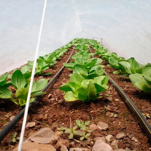 Агроволокно Agreen 77603 Белый photo 2