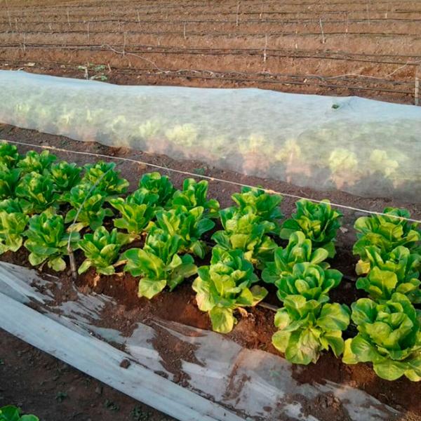 Агроволокно Agreen 77603 Белый photo 3