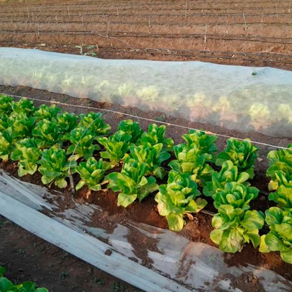 Folie microporoasă agril Agreen 77605  White photo 3