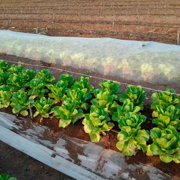 Агроволокно Agreen 77607 Белый photo 3