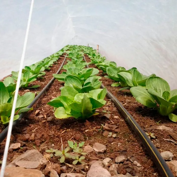 Агроволокно Agreen 77609 Белый photo 2