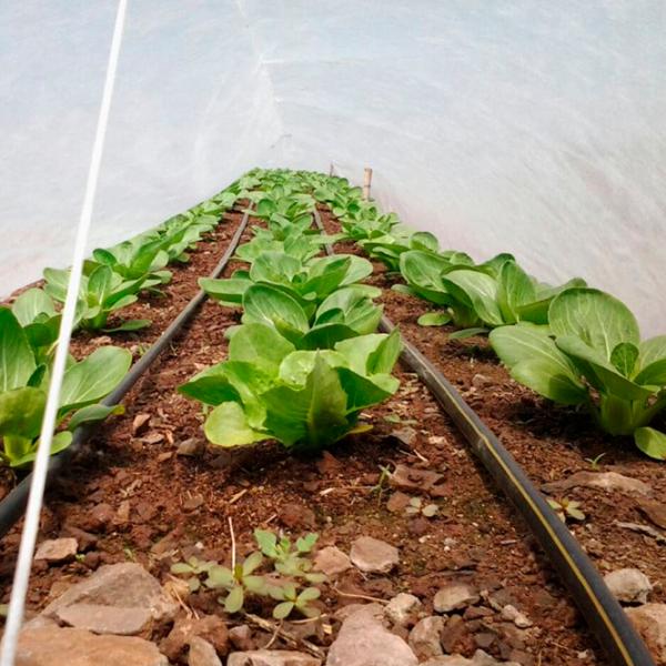 Агроволокно Agreen 77609 Белый photo 2