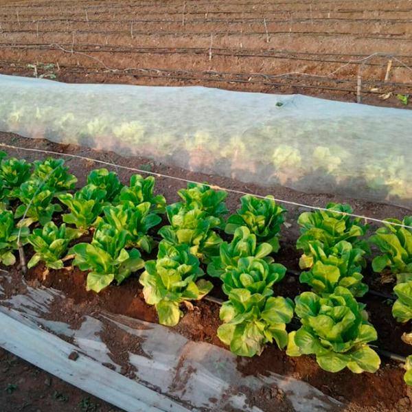 Агроволокно Agreen 77609 Белый photo 3