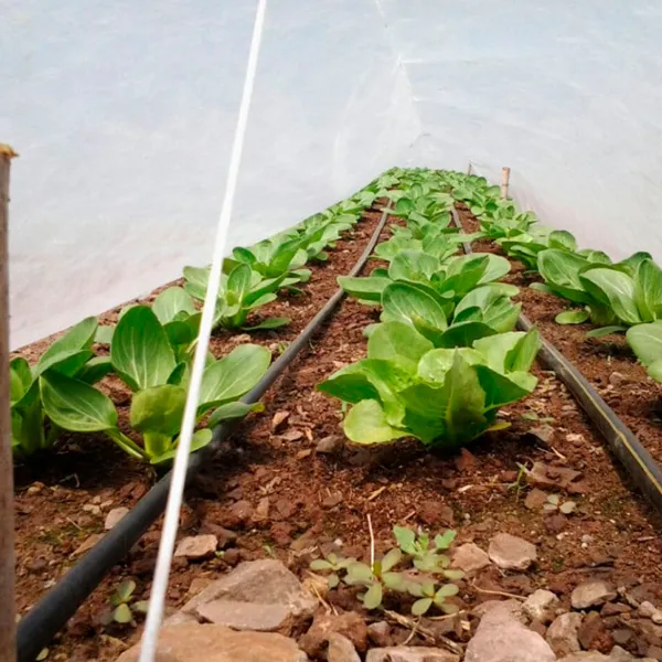 Агроволокно Agreen 77678 Белый photo 2