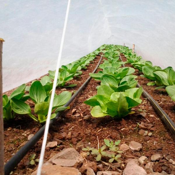 Агроволокно Agreen 77678 Белый photo 2