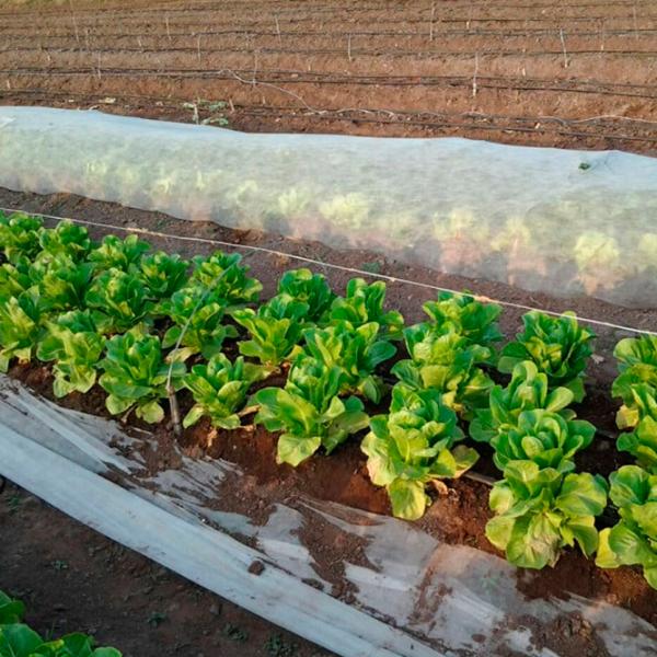 Агроволокно Agreen 77678 Белый photo 3