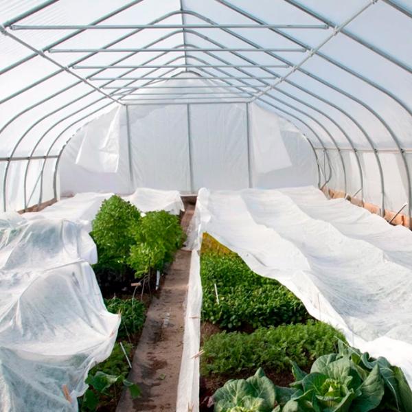 Агроволокно Agreen 77678 Белый photo 6