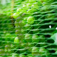 Plasă anti păsări UNITAPE 77264 Green photo 3