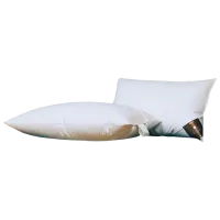 Pernă Trois Couronnes Duchess Normal 391697 Bambus / 70 x 70 x 19 cm