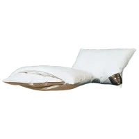 Pernă Trois Couronnes Lotus Twin 460264 Puf / 70 x 50 x 20 cm