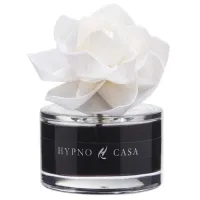 Освежитель воздуха для дома Hypno Casa 2233B Pepe nero / 0.25л