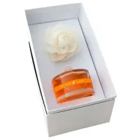 Освежитель воздуха для дома Hypno Casa 2231P Цветочный / 0.1л