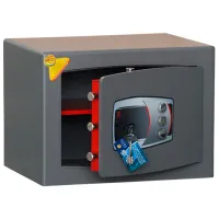 Safeu Technomax DMD/5 Oțel / cu combinație