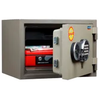 Safeu Valberg FRS-30EL Oțel / Digitală