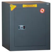 Safeu Technomax DPK/7 Oțel / cu cheie photo 2