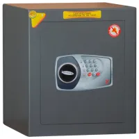 Safeu Technomax DPE/7P Oțel / Digitală