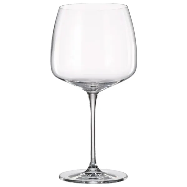 Set de pahare Bohemia Anas 0.66l / Sticlă / Transparent photo 1