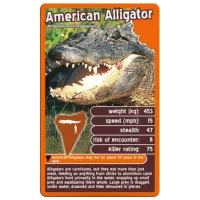 Joc de masă Winning Moves Top Trumps Predators 6+/ Dezvoltare photo 5