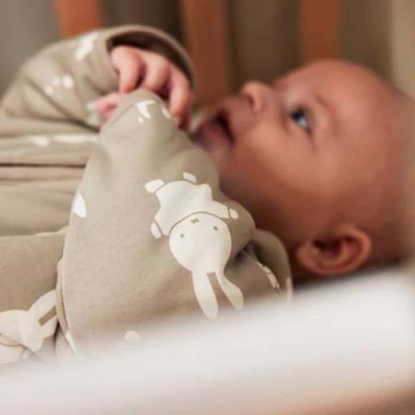 Sac de dormit Jollein Miffy&Snuffy 016-548-67101 Bumbac, Bumbac / Unisex photo 6 Sac de dormit Jollein Miffy&Snuffy 016-548-67101 Bumbac, Bumbac / Unisex photo 6