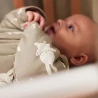 Спальный мешок Jollein Miffy&Snuffy 016-548-67101 Хлопок, Хлопок / Унисекс photo 6