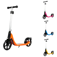 Trotinetă pentru copii cu trei roți Scooter 2100009-6P (2100009-6P) 50 kg/ Multicolor