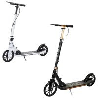 Trotinetă pentru copii cu două roți Scooter 3240055 (3240055) 100 kg/ Multicolor