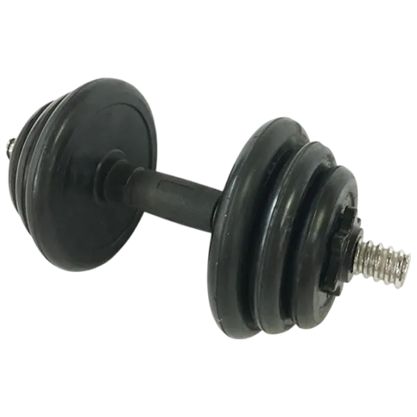 Set gantere Sport STI1731 10 kg / Cantitatea în set - 2 photo 1 Set gantere Sport STI1731 10 kg / Cantitatea în set - 2 photo 1